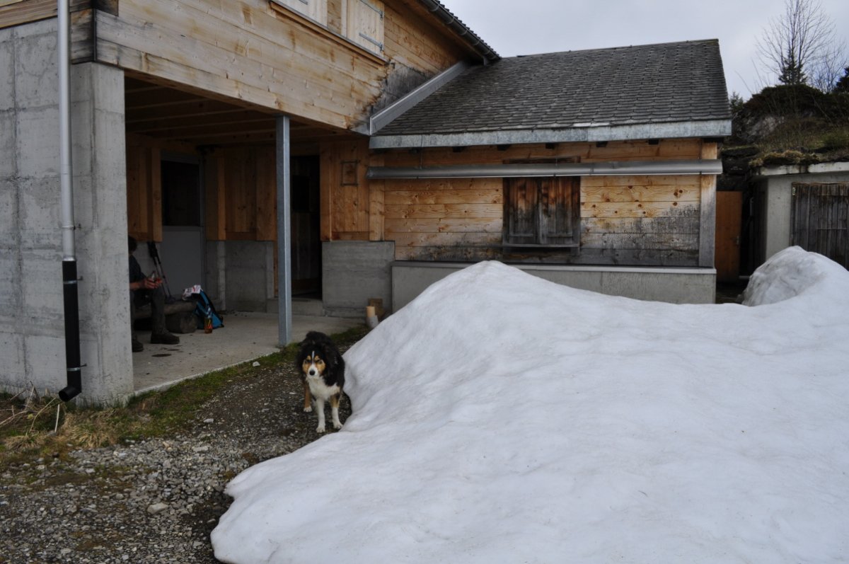 Teilansicht einer Alphütte