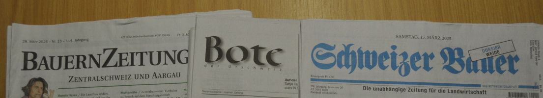 drei verschiedenen Zeitungsköpfe
