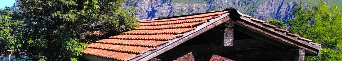 das Dach einer kleinen alten Alphütte, links lehnt ein Roter Holder sich an die Hütte