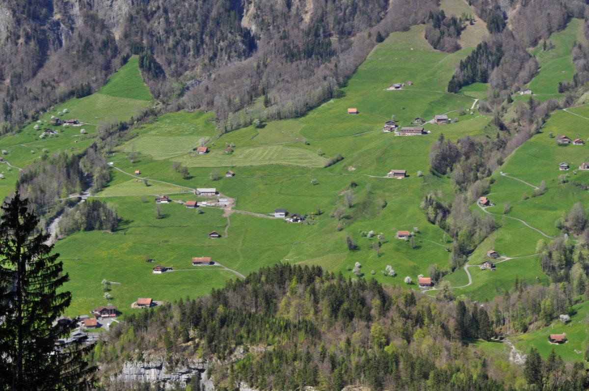 Unten hat es auf einer Kuppe Frühlingswald. Dahinter ist das Sonnenhalb mit viel Matten. Einige sind gemäht, andere abgeweidet. Dazwischen stehen die Gehöfte. Zwei bewaldete Bachläufe ziehen sich links und rechts nach unten. Ab oberen Bildrand hat es wenig belaubtenWald
