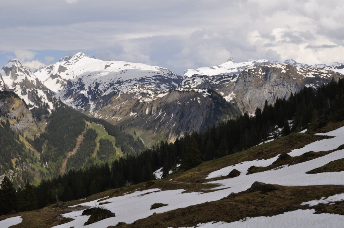 Das Alpgebiet im Vordergrund trägt noch Schneeflecke. Der Boden dazwischen ist braun. Im Hintergrund ist ein Berge-Alpen-Panorama. Die Gipfel sind noch ganz weiss; das Alpgebiet gefleckt bis aper.