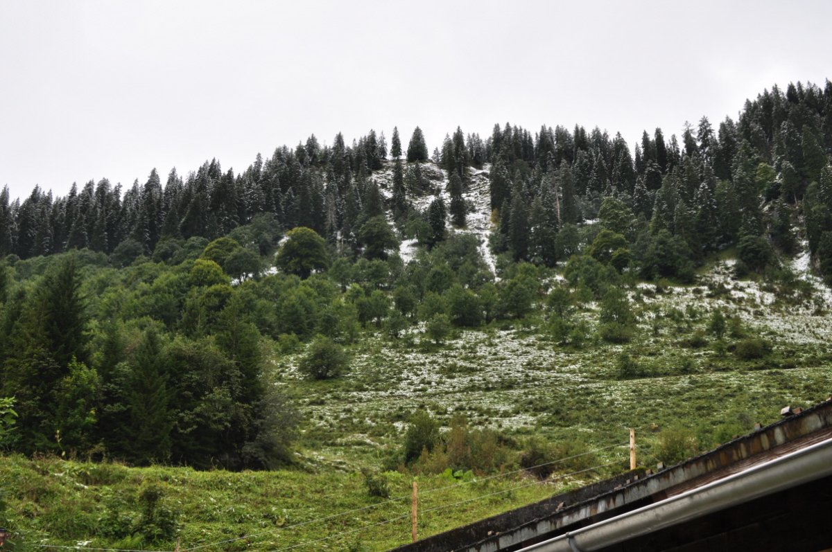 Oben an einem Abhang und im Wald darüber liegt Schnee. Auf den Tannen liegt kein Schnee.