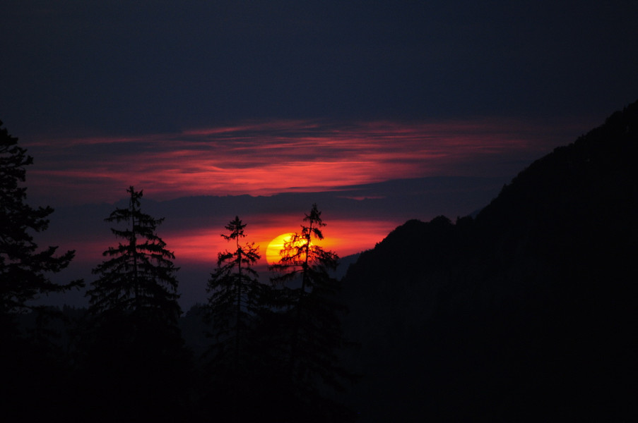 ein wunderschöner Sonnenuntergang mit einer orangen Sonnenkugel und dunkelroten Wolken mit pechschwarzem Horizont und drei Tannensilhouetten