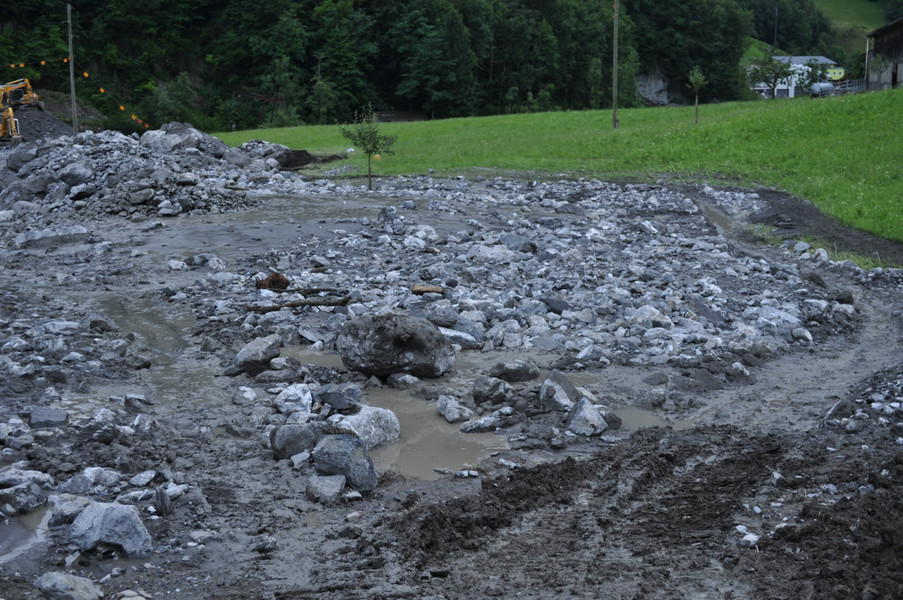 ein Bachbett voll Steine und feuchtem Sand; dasselbe Gemisch liegt auch auf einer Wiese am Bach