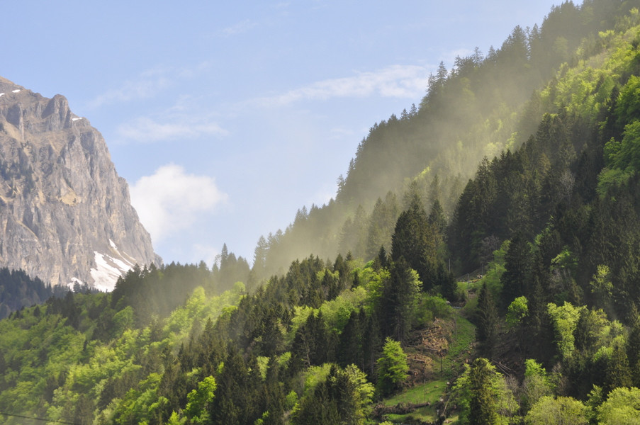 eine Blütenstaubwolke über dem Frühlingswald; links die letzte Felswand des Heubrigs