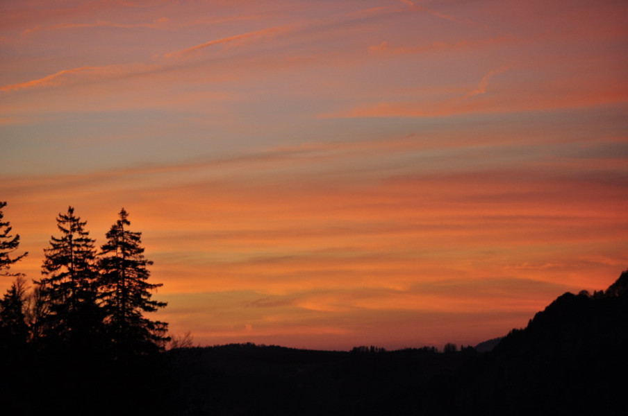 ein Himmel voll Abendrot; als Silhouette zwei Tannen und rechts ein Berghang