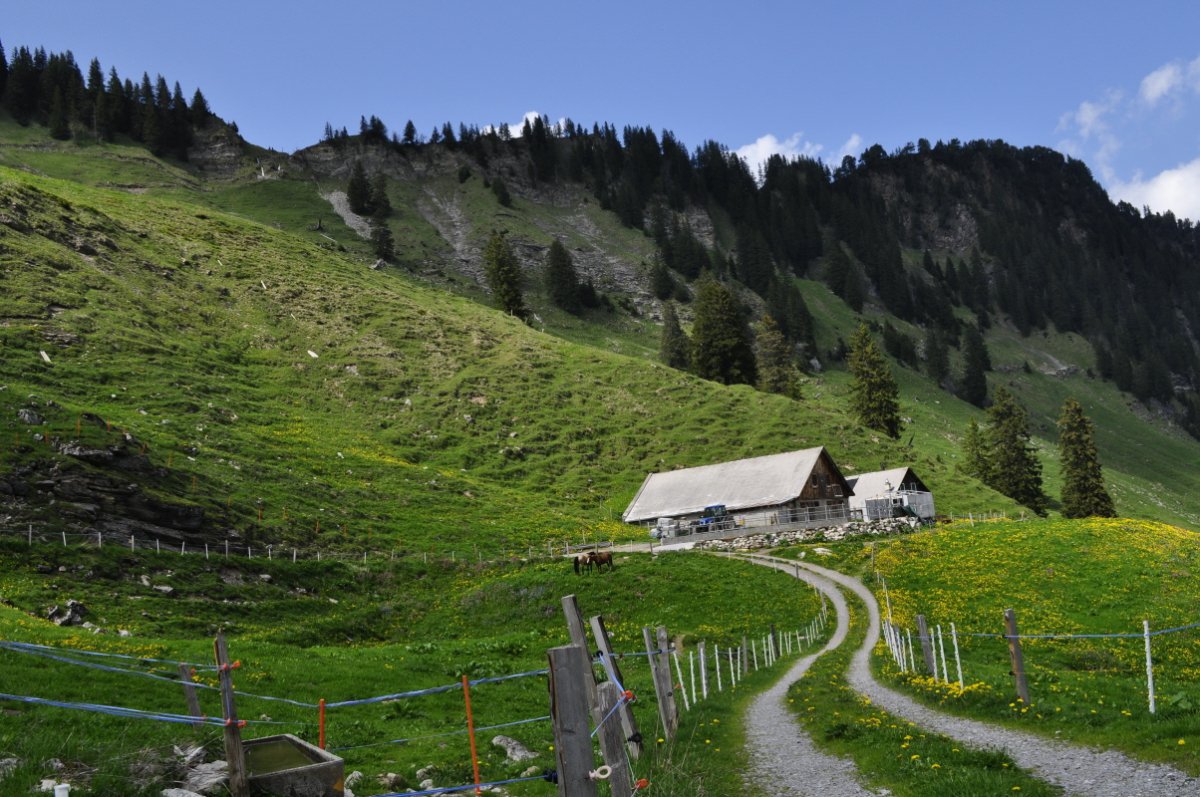 In der Bildmitte ist die Fönenhütte in der Goldplangg zu sehen. Sie steht inmitten ansteigender Alpweiden. Im Hintergrund ist eine Talseite mit Wald und Matten zu sehen.