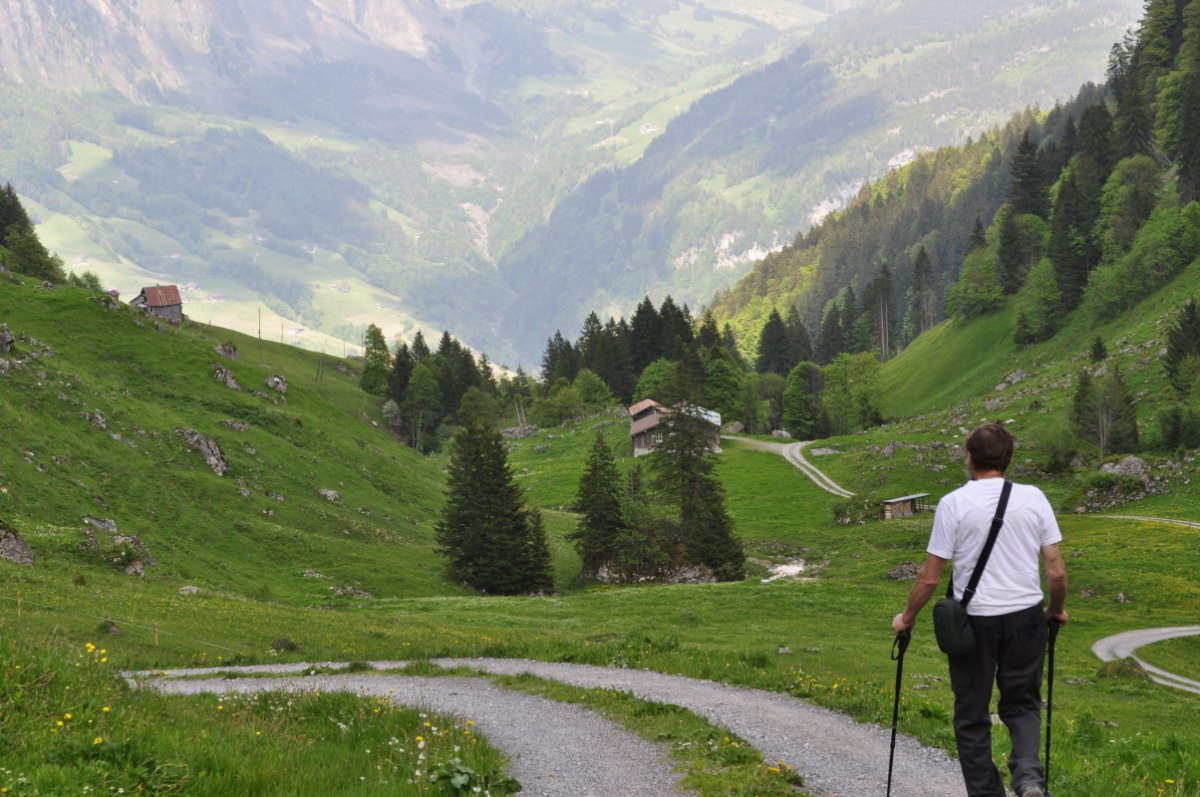 Ein Wanderer geht einer Strasse entlang, die talauswärts führt.In der Bildmitte, leicht durch eine Tanne verdeckt, steht eine Alphütt mit Alpstall. Im Hintergrund ist ein Seitental mit Wäldern und wenigen Matten zu sehen.