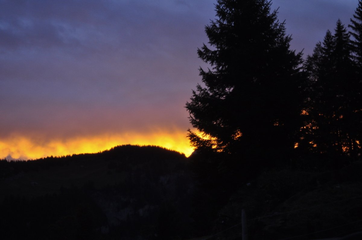 Unten und rechts ist die Silhoutte eines Bergzuges und Tannen im Vordergrund. Über dem Horizont ist ein Streifen knall-gelb-orange. Darüber sind grau-rosa Wolken, die nach oben hin bläulich-grau werden