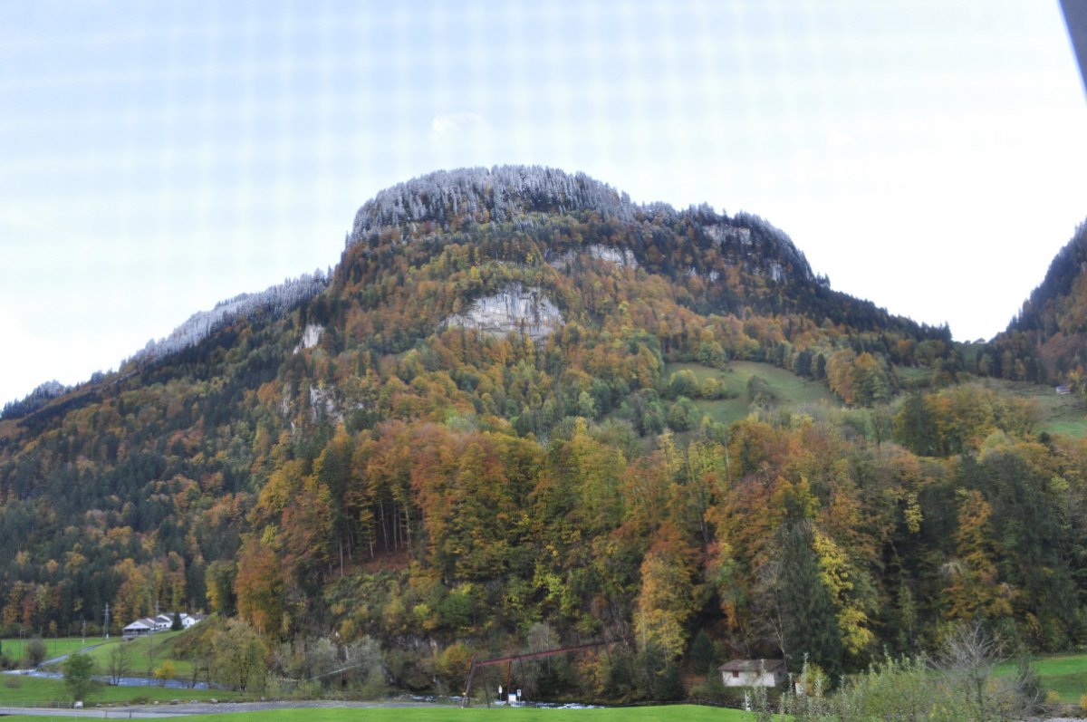 Der Wallis mit Feden und einem Teil Hürital ist auf der Foto. Es ist fast nur Wald zu sehen. Die Laubbäume haben orange-gelbes Laub. Zu oberst hat es Schnee auf den Bäumen.